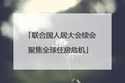 联合国人居大会续会聚焦全球住房危机