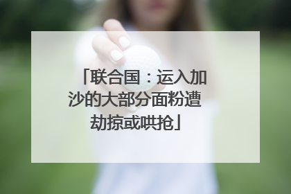 联合国：运入加沙的大部分面粉遭劫掠或哄抢