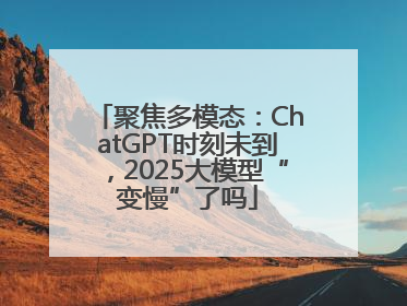 聚焦多模态：ChatGPT时刻未到，2025大模型“变慢”了吗