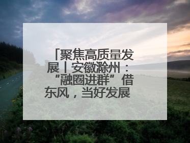 聚焦高质量发展丨安徽滁州：“融圈进群”借东风，当好发展“合伙人”