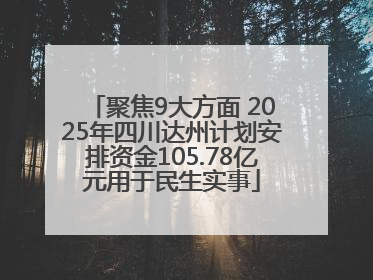 聚焦9大方面 2025年四川达州计划安排资金105.78亿元用于民生实事