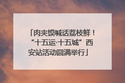 肉夹馍喊话荔枝鲜！“十五运·十五城”西安站活动圆满举行