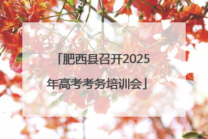 肥西县召开2025年高考考务培训会