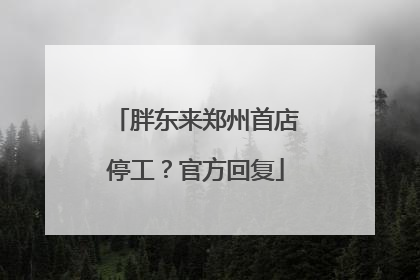 胖东来郑州首店停工？官方回复