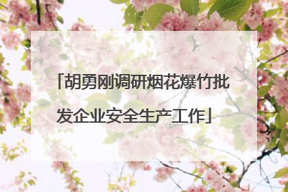 胡勇刚调研烟花爆竹批发企业安全生产工作