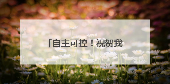 自主可控！祝贺我国高校科研团队