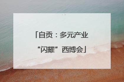 自贡：多元产业“闪耀”西博会