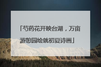 芍药花开映台湖，万亩游憩园绘就初夏诗画