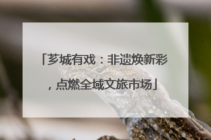 芗城有戏：非遗焕新彩，点燃全域文旅市场