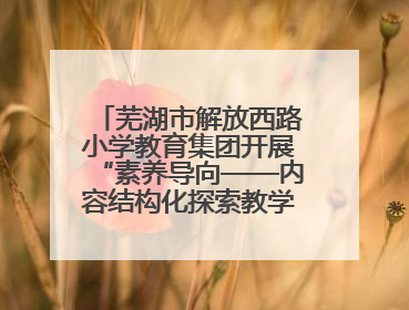 芜湖市解放西路小学教育集团开展“素养导向——内容结构化探索教学实践”数学专题研讨活动