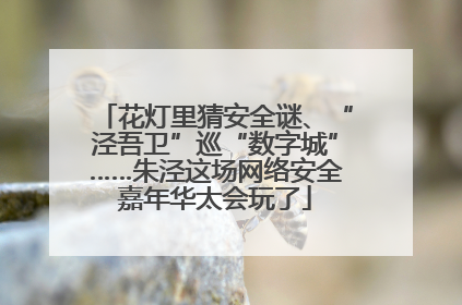 花灯里猜安全谜、“泾吾卫”巡“数字城”……朱泾这场网络安全嘉年华太会玩了