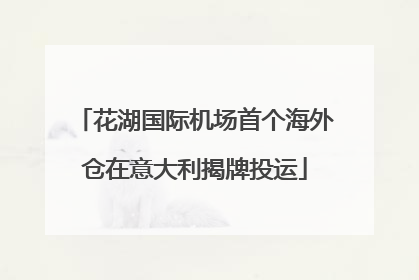 花湖国际机场首个海外仓在意大利揭牌投运