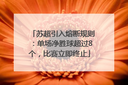 苏超引入熔断规则：单场净胜球超过8个，比赛立即终止