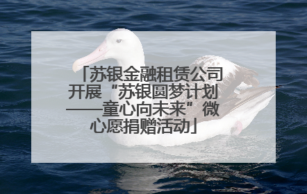 苏银金融租赁公司开展“苏银圆梦计划——童心向未来”微心愿捐赠活动