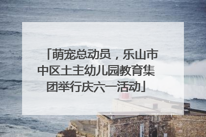萌宠总动员，乐山市中区土主幼儿园教育集团举行庆六一活动