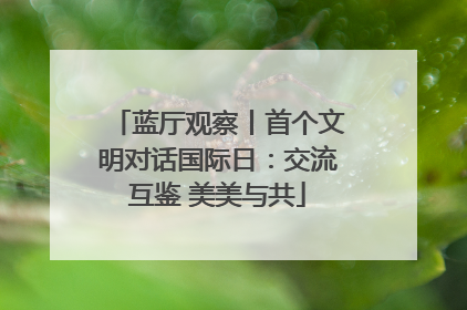 蓝厅观察丨首个文明对话国际日：交流互鉴 美美与共