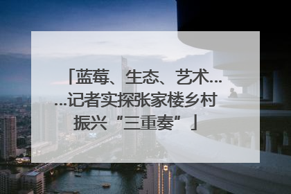 蓝莓、生态、艺术……记者实探张家楼乡村振兴“三重奏”