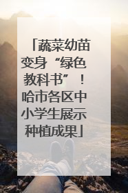 蔬菜幼苗变身“绿色教科书”！哈市各区中小学生展示种植成果