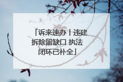 诉来速办丨违建拆除留缺口 执法闭环已补全