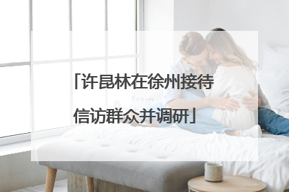 许昆林在徐州接待信访群众并调研
