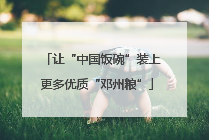 让“中国饭碗”装上更多优质“邓州粮”