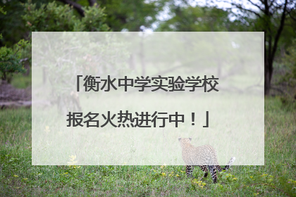 衡水中学实验学校报名火热进行中！