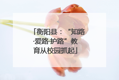 衡阳县：“知路·爱路·护路”教育从校园抓起