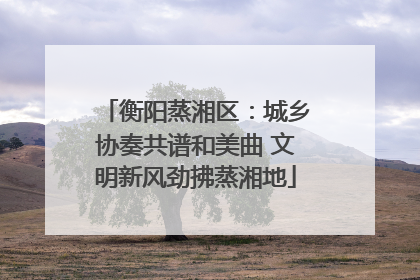 衡阳蒸湘区：城乡协奏共谱和美曲 文明新风劲拂蒸湘地