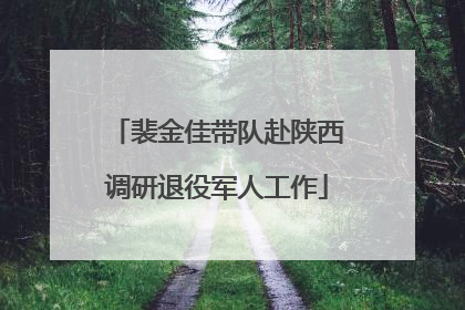 裴金佳带队赴陕西调研退役军人工作