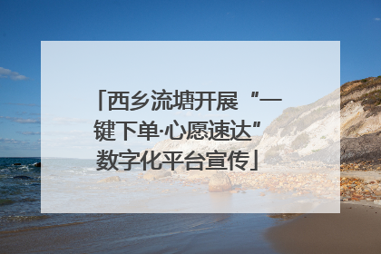 西乡流塘开展“一键下单·心愿速达”数字化平台宣传