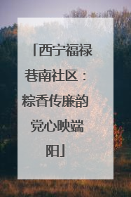 西宁福禄巷南社区：粽香传廉韵 党心映端阳