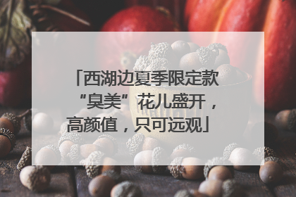 西湖边夏季限定款“臭美”花儿盛开，高颜值，只可远观
