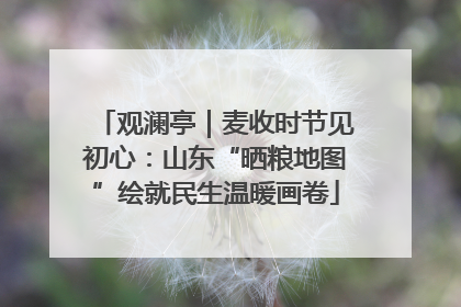 观澜亭｜麦收时节见初心：山东“晒粮地图”绘就民生温暖画卷