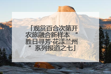 观赏百合次第开 农旅融合新样本 “胜日寻芳·花漾兰州”系列报道之七
