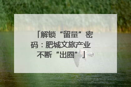 解锁“留量”密码：肥城文旅产业不断“出圈”
