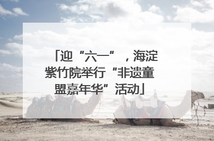 迎“六一”，海淀紫竹院举行“非遗童盟嘉年华”活动