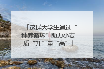 这群大学生通过“种养循环”助力小麦质“升”量“高”