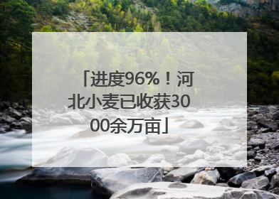 进度96%！河北小麦已收获3000余万亩