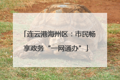 连云港海州区：市民畅享政务“一网通办”