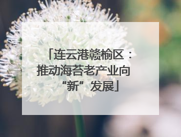 连云港赣榆区：推动海苔老产业向“新”发展