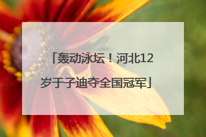 轰动泳坛！河北12岁于子迪夺全国冠军