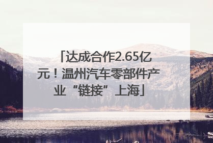 达成合作2.65亿元！温州汽车零部件产业“链接”上海