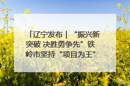 辽宁发布｜“振兴新突破 决胜勇争先”铁岭市坚持“项目为王”推进经济高质量发展