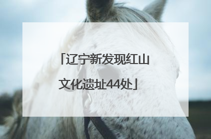 辽宁新发现红山文化遗址44处
