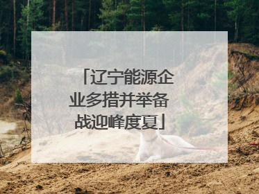 辽宁能源企业多措并举备战迎峰度夏