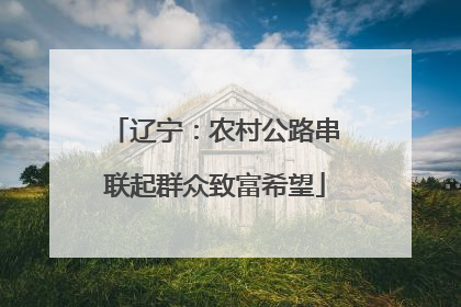 辽宁：农村公路串联起群众致富希望