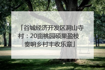 谷城经济开发区洞山寺村：20亩桃园硕果盈枝 奏响乡村丰收乐章