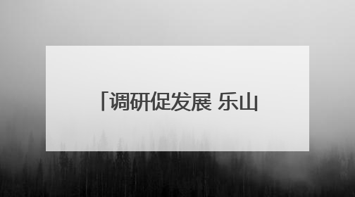 调研促发展 乐山市少先队鼓号队走进凤凰学校进行调研