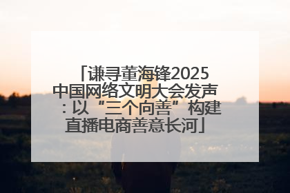 谦寻董海锋2025中国网络文明大会发声：以“三个向善”构建直播电商善意长河
