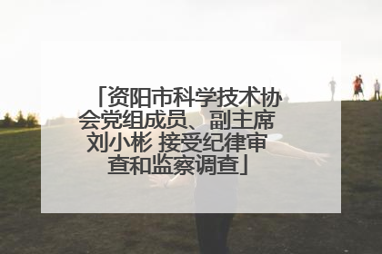 资阳市科学技术协会党组成员、副主席刘小彬 接受纪律审查和监察调查